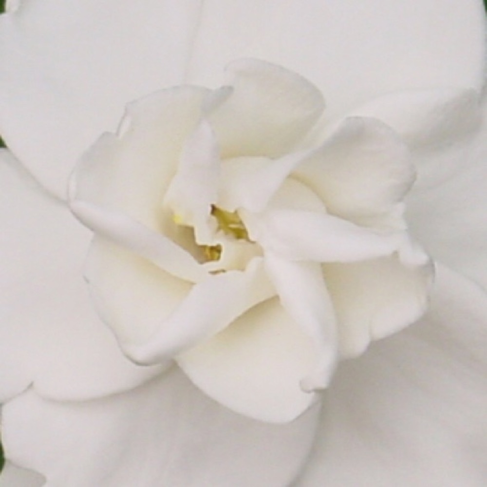 Make me an offer! 💃🏼